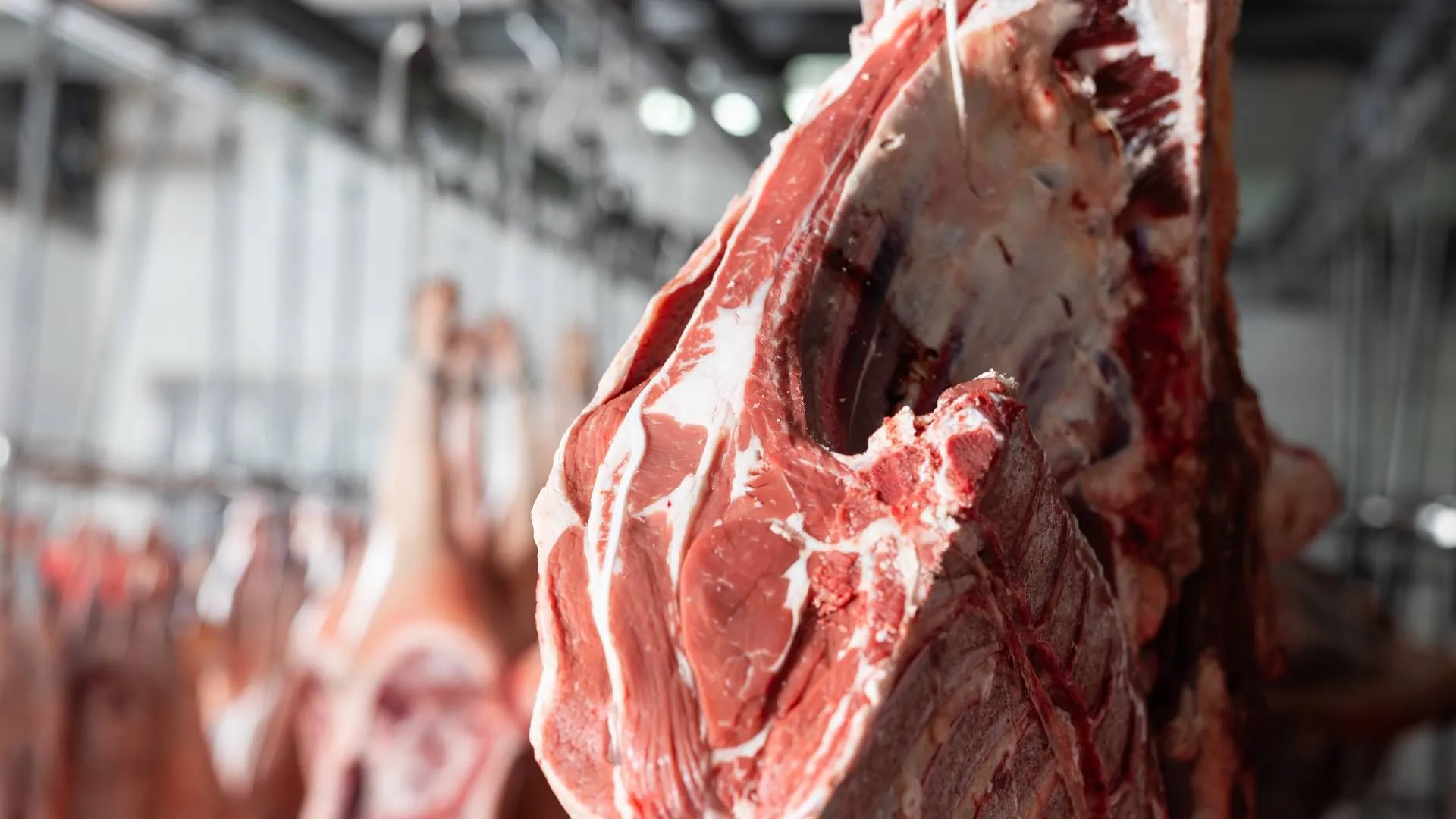 Dry aged